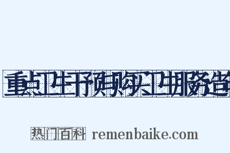 重点卫生干预与购买卫生服务造句是什么意思的图片